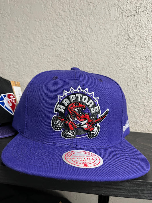 Toronto Raptors Snap