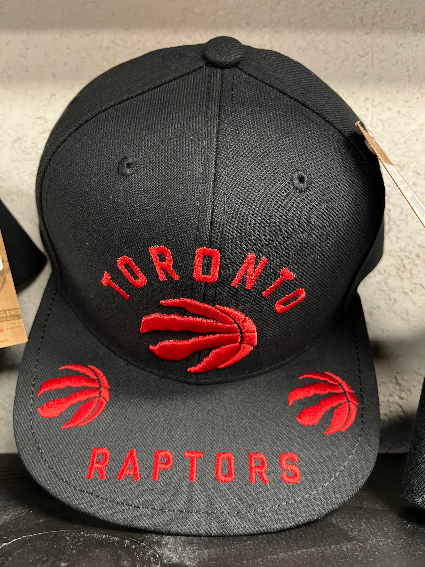 Toronto Raptors Snap